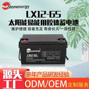 兰星12V65~120Ah太阳能胶体蓄电池免维护铅酸蓄电池 光伏离网发电
