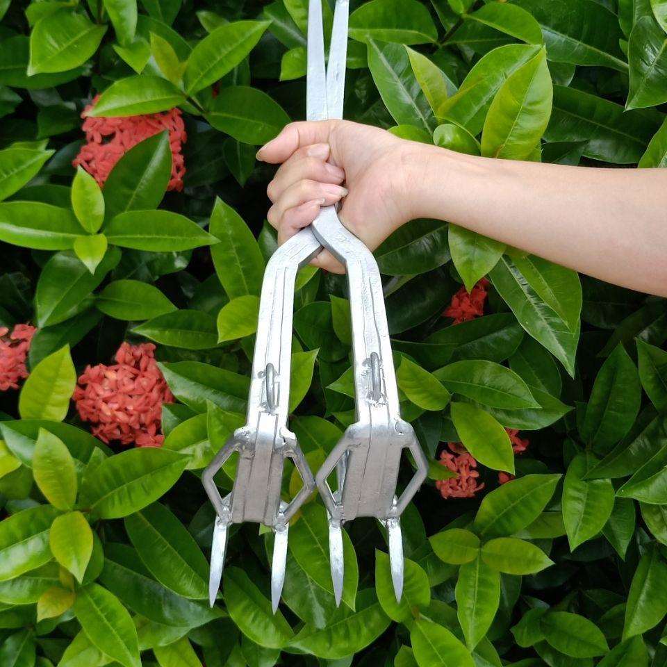 爬树神器脚扎子双尖大拐更稳更安全可穿防蜂服上树伐木打松塔其它