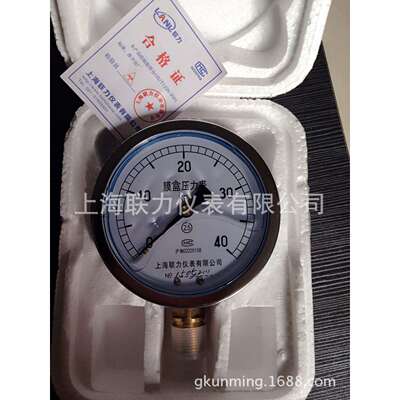 厂家供应膜盒耐震压力表 精度高隔膜压力表精密压力表 规格齐全