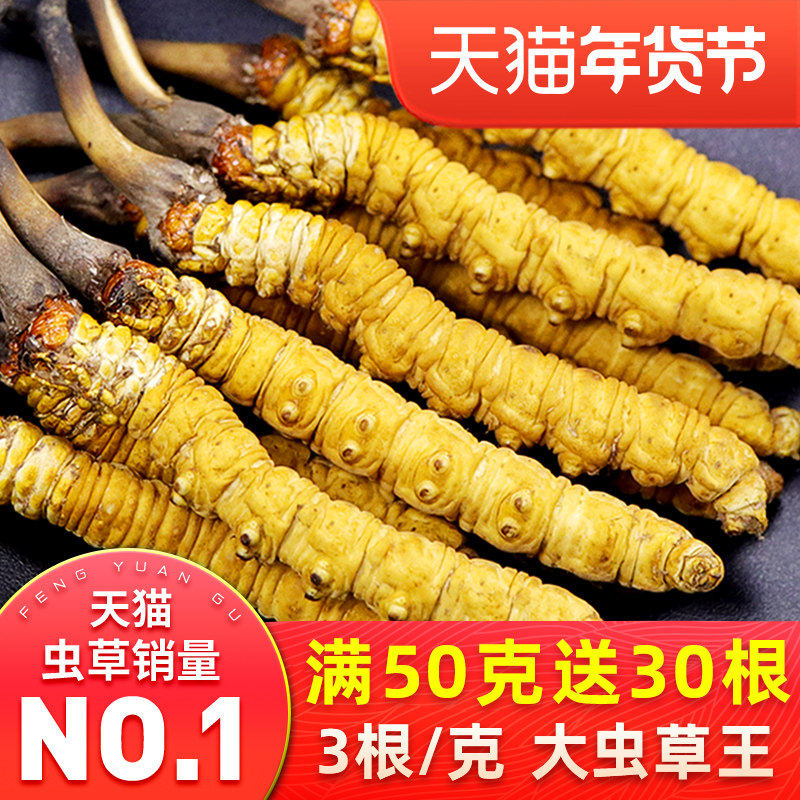 【年货礼盒】冬虫夏草官方旗舰店10克30根头期正品虫草50克礼盒装