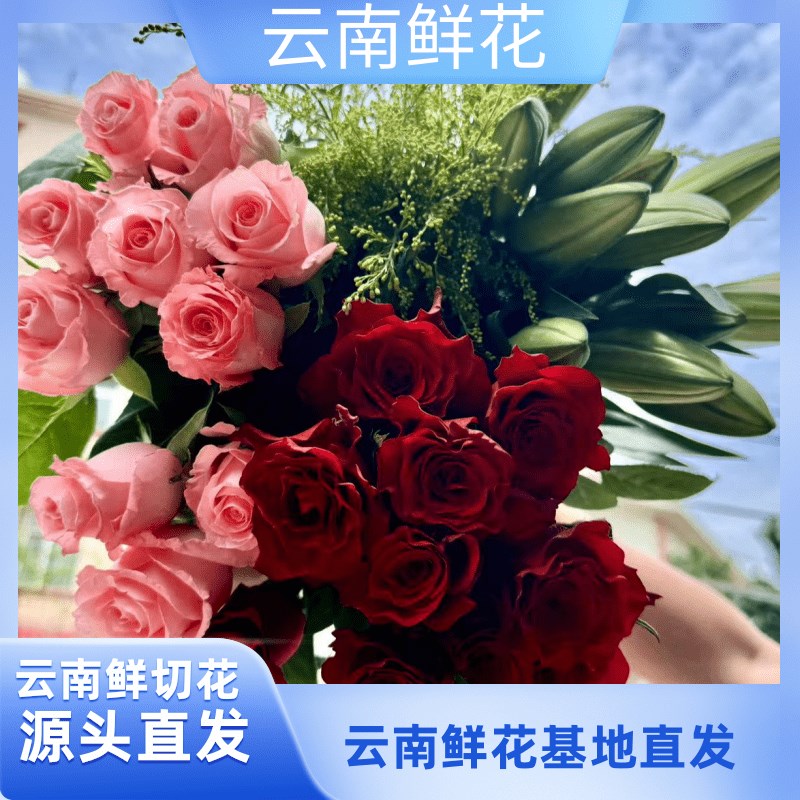 【源头优选c】【红玫瑰10支+百合10朵+粉玫瑰10支+配草】鲜花卖花