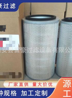 AF25268 40C0402 11096B-020空气挖掘机滤芯工程机械设备