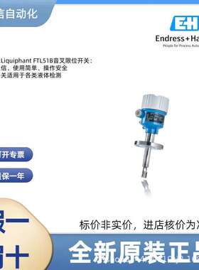 FTL31-AA4M2AAWDJ 恩德斯豪斯E+H 音叉液位开关 压力变送器 电极