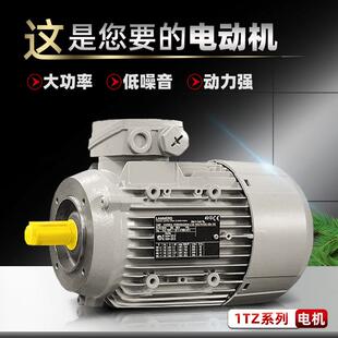 德国拉莫斯电机 LAMMERS三相异步电动机 LAMMERS Motors 1TZ9系列