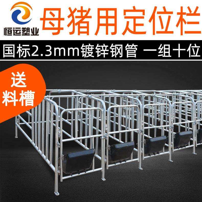 母猪定位栏限位栏母猪落地式定位栏母猪定位栏全套落地母猪限位栏
