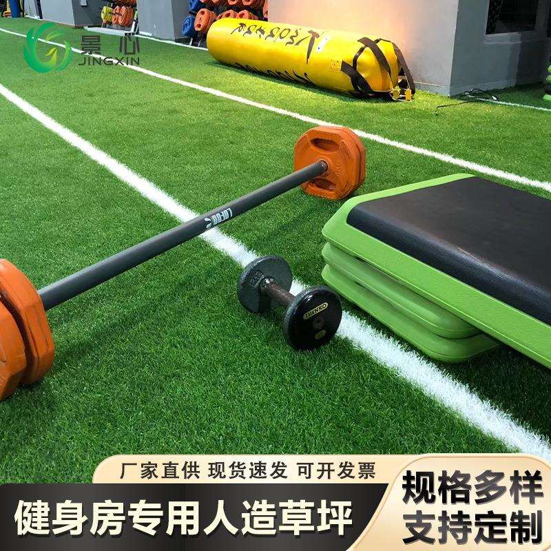 健身房跳操杠铃训练防滑垫室内运动隔音健身地垫仿真草坪