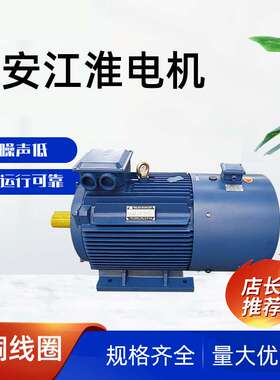 六 安江淮电机YVF2系列三相异步电机全铜线圈30kw37kw厂家直供