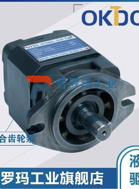 NTYS液压齿轮泵IPM2 3 4-13/16/20/25/32/40/50/63/80/125/100RPF