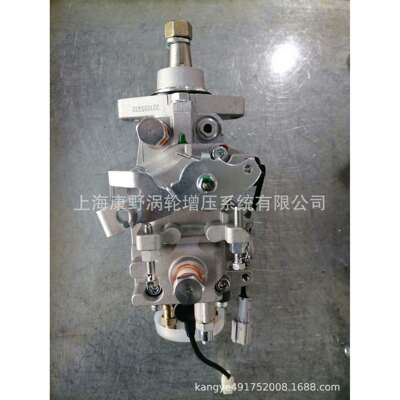 FT喷油泵套件22100-67100 096500-3031和22100-5B302 096500-0100