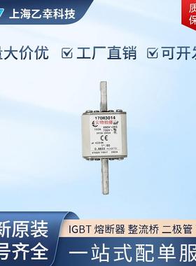 巴斯曼熔断器 170M3013 170M3014 170M3015 170M3016 170M3017