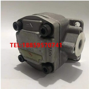 液压齿轮泵GPY 12R油泵 11R 5.8R 11.5R 10R