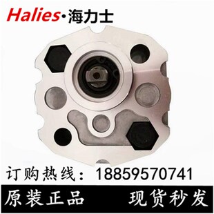 齿轮油泵CBK 280 250 220 216 260 232 210 237 240 225 F208 213