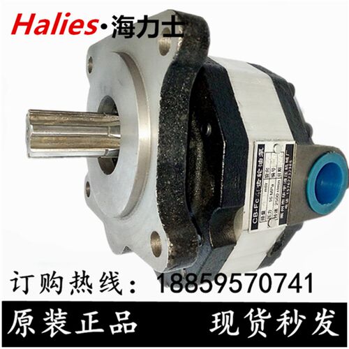 CB-FC10/12/16/18/20/25/32/40/50/63/80/100-FL FR-X齿轮油泵