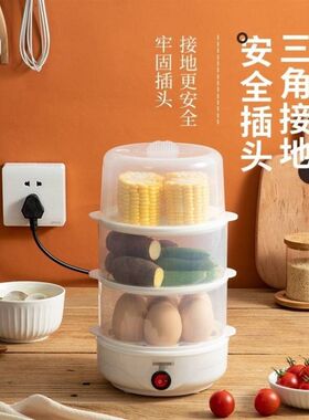 蒸锅宿舍小功率家用小型插电自动断电大容量早餐神器迷你蒸蛋早餐