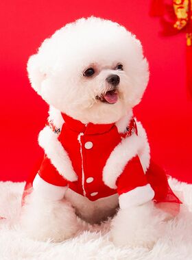 秋冬季狗狗唐装宫廷风假两件新年裙子小猫咪喜庆过年宠物衣服