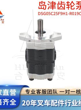 叉车配件叉车齿轮泵岛津原厂液压油泵液压泵DSG05C25F9H1-R019CH