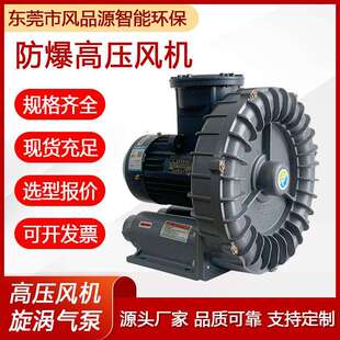 隔爆鼓风机 钢铁冶金设备配套高压风机 大功率防爆防腐蚀漩涡风机