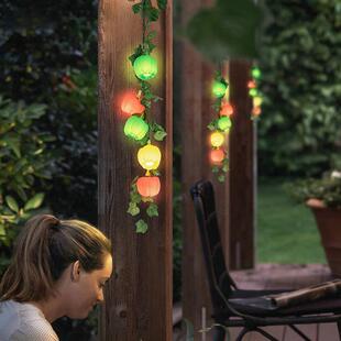 防水植物氛围室外灯庭院灯灯灯笼椒户外庭院挂灯灯笼灯装饰装饰灯