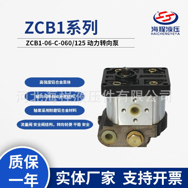 宁波320-324拖拉机恒流泵 ZCB1-06 动力转向泵 同侧进同侧出