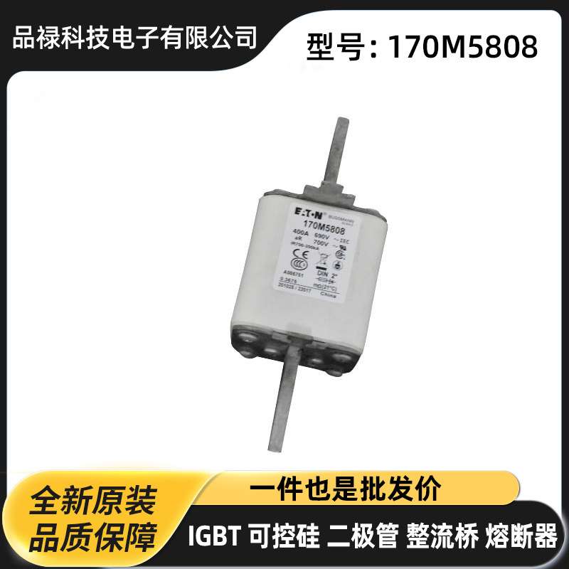 巴斯曼原厂170M5985 170M5986 170M5987 高压熔断器 保险丝