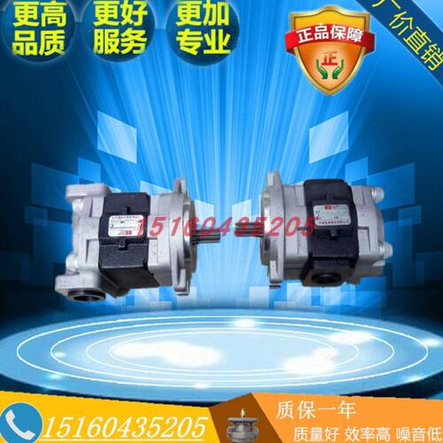 海华鑫豪愚公劲工雷道沃尔华 新源65 75轮式挖掘机天津岛津齿轮泵