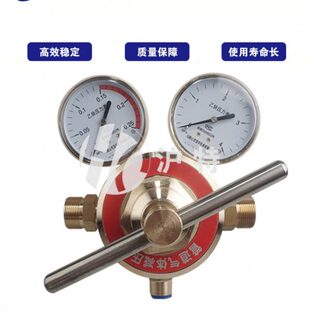 EQJ/BWJ-224 管道减压器 丙烷单级双表黄铜减压器 汇流排减压器