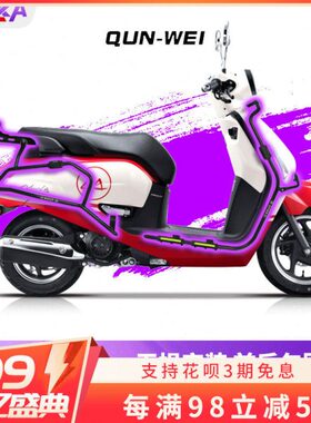 125LNS保护H1SD防摔-保险杠适用护杠9WQ后前AT改装全包围25新 3本