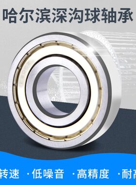 6024 深沟球轴承2260  /2 2160 R 30ZZ-2860Z6060哈尔滨322660