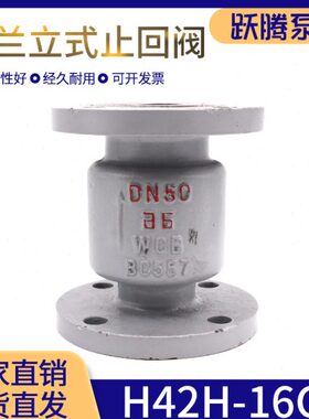 DDC立式N12DN50-1600H4铸 单向阀止回阀20耐高温H N法兰 钢0