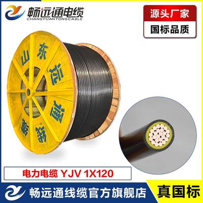 国标单芯铜电缆YJV1*120 0.6/1 kv低压电力电缆 VV聚氯乙烯配电线