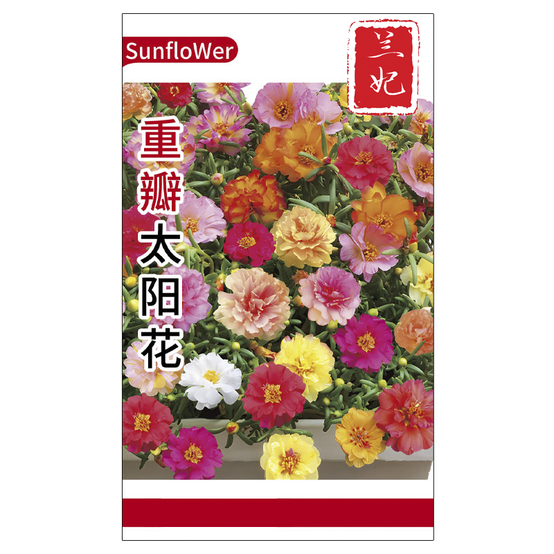 混色重瓣太阳花种子单瓣太阳花种子易活半枝莲阳台盆栽花卉种籽孑