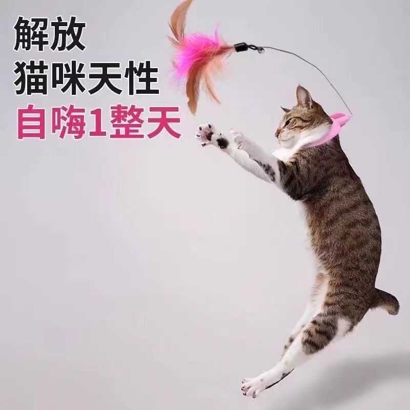 头戴式逗猫棒玩具猫咪自嗨解闷