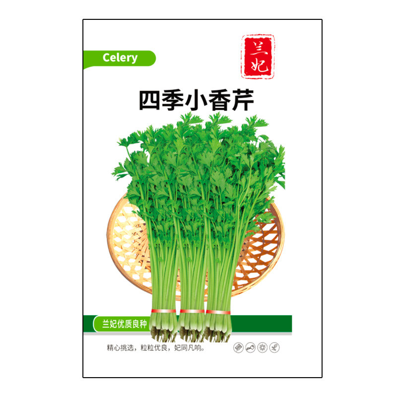 兰妃蔬菜种子四季小香芹种子