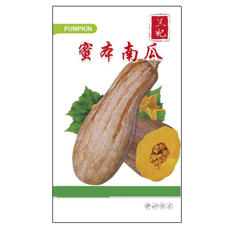 兰妃蔬菜种子蜜本南瓜种子