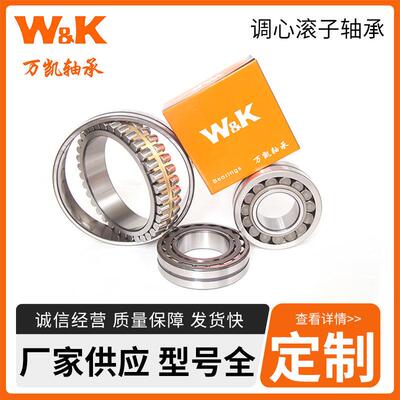 双列密封调心滚子轴承BS2-2218-2CS/VTI4