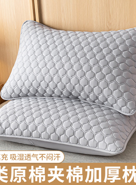 防水枕套一对装防口水头油枕巾套单人枕头保护套48xW74枕芯内胆套