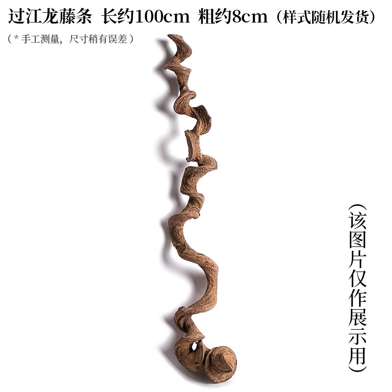 过江龙干枝藤条 家居摆设艺术y树枝干花过江龙藤拍摄道具干枝树干