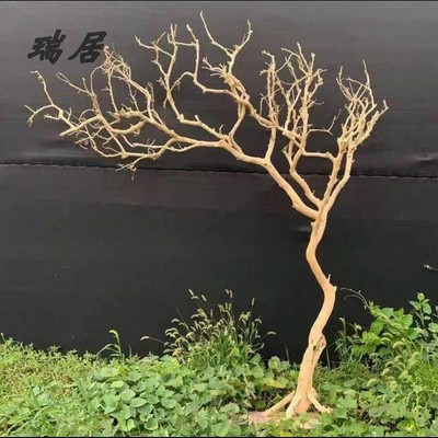 干树枝造景干枝树干许愿树枯树室内庭院造型N树枝干原木树枝装饰