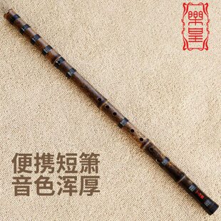 丁治国专业紫竹特制短箫八孔六孔洞箫演奏级e萧d调初学gf入门乐器