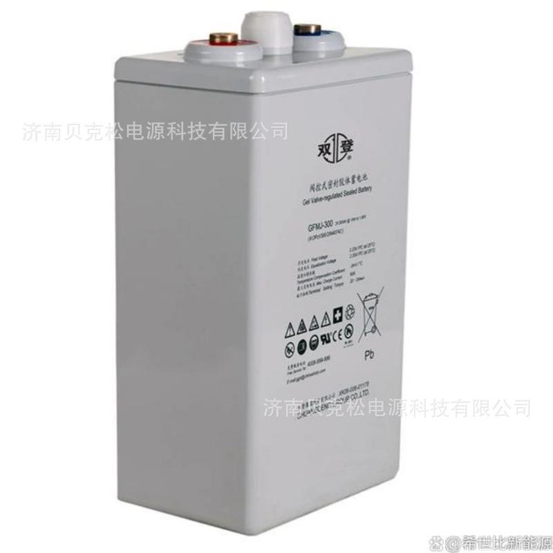 双登蓄电池GFM-200 GFM-300 2V200a300a400a通讯机房基站备用电源