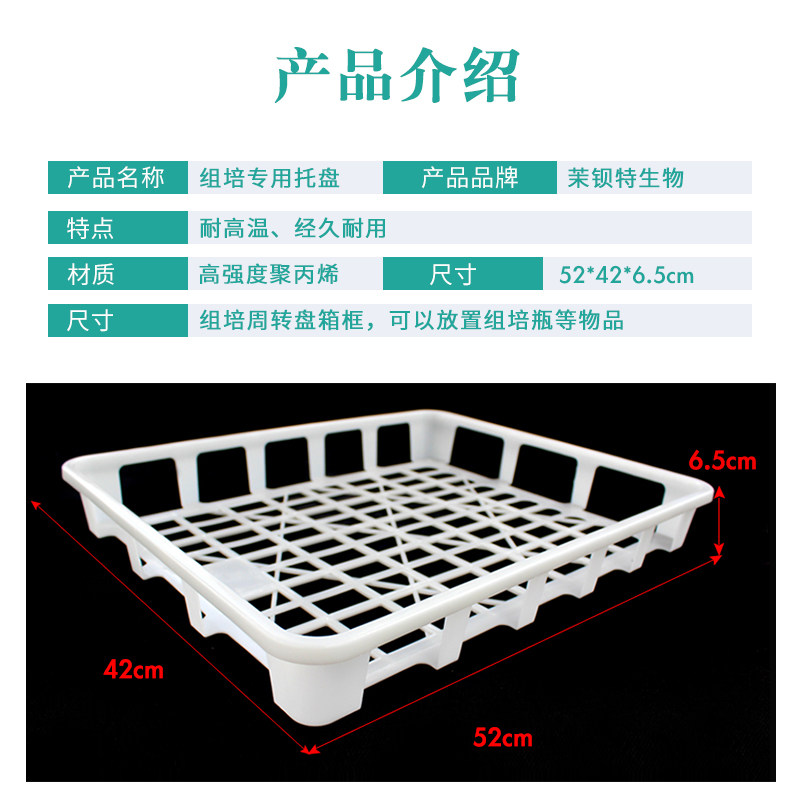 耐高温组培筐 组培周转盘 专用托盘 优质塑料组培框 加厚防刮手