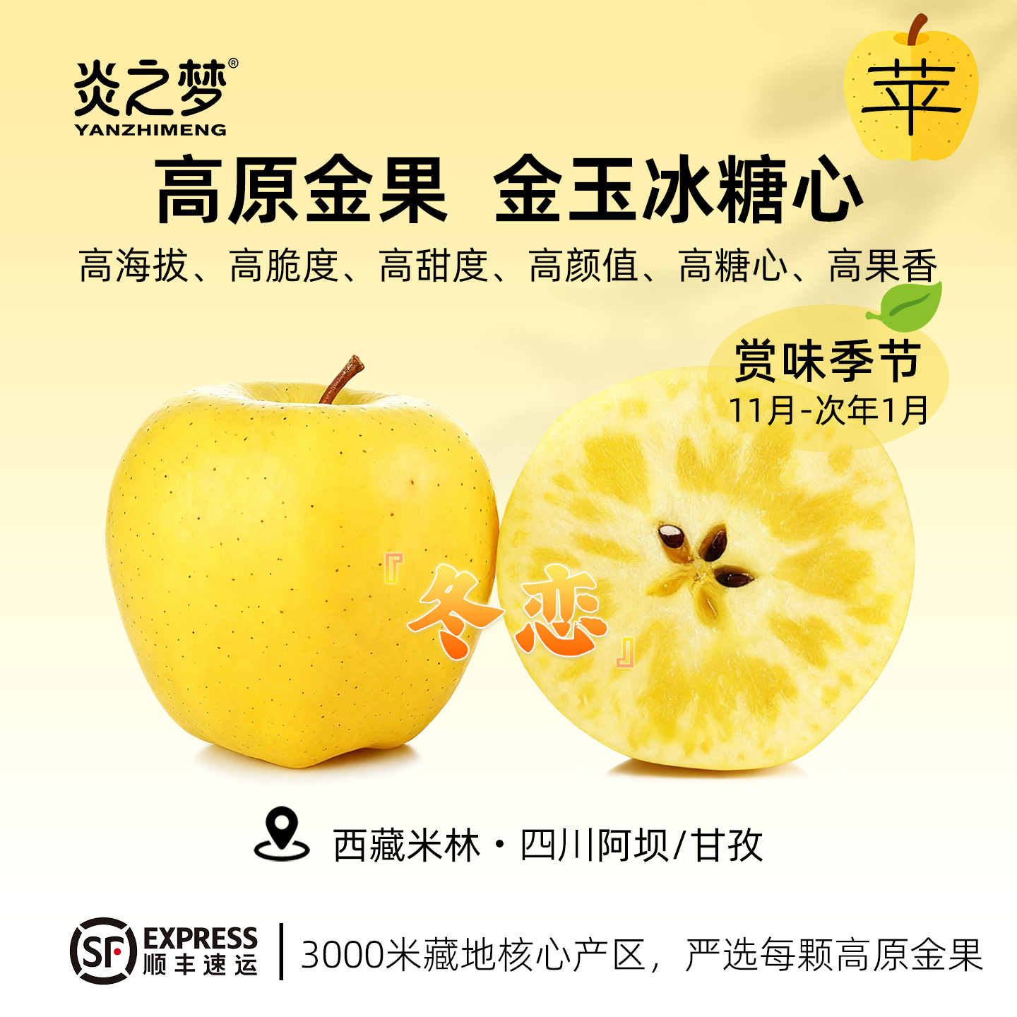 藏地高原金玉冰糖心苹果原株冬恋