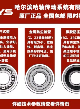 RYS 哈轴传动 6300 6301 6302 6303 6304 6305 - ZZ 2RZ 官方自营
