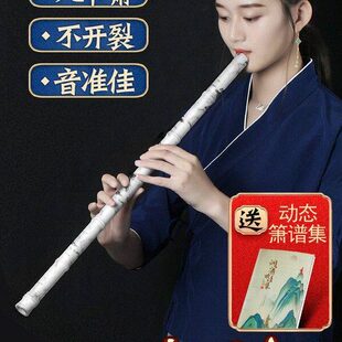 初学入门不乐器树脂九节调笛箫河G洞箫八孔包邮专业萧玉山演奏裂