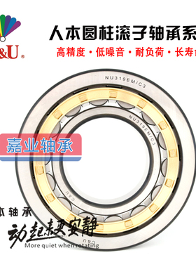 人本圆柱滚子轴承 N NJ NU NUP 202 203 204 205 206 207 EM/C3