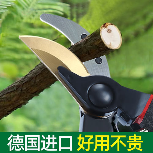 修剪树枝专用剪刀园艺剪刀修枝剪刀果树修枝剪园林修剪花艺修花剪