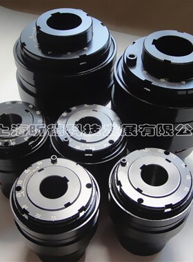 TSCL钢球式扭力扭矩限制器带联轴器KTR轴轴连接MAYR安全离合器