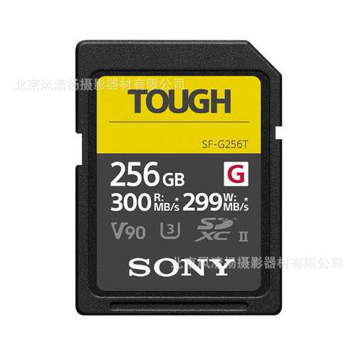 SF-G256T/T1 CN SF-G 系列TOUGH适用 SFG256T 300MB