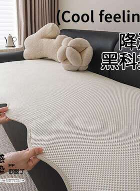 凉感沙发垫2025新款简约轻奢坐垫防滑纯色坐垫子柔软透气异形垫子
