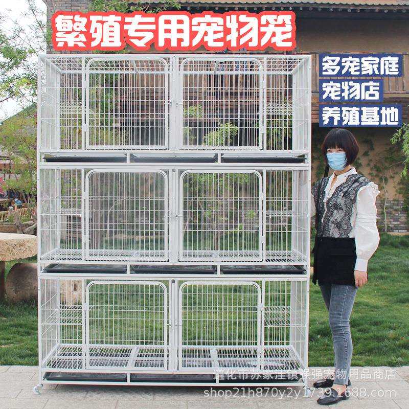 可加高款繁殖笼猫屋猫舍宠物垫展示笼可同时饲养多只小动物带隔断